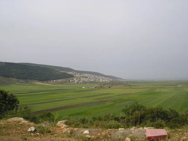 המועצה המקומית בועיינה-נג'ידאת