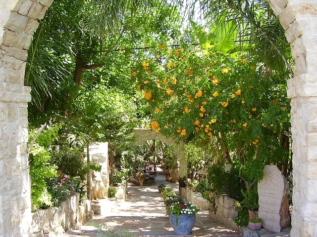 המועצה המקומית ג'ולס