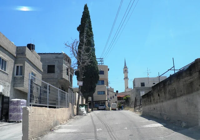בית ספר תיכון כאבול
