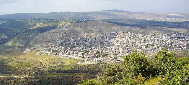 המועצה המקומית שעב