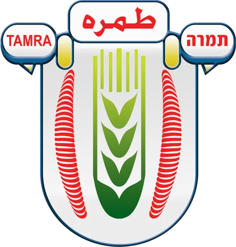עיריית טמרה